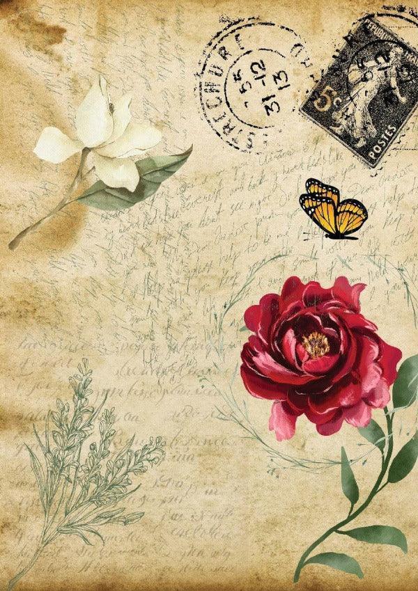 Old Postcard | Reis Decoupage Papier | Belles & Whistles - Lioness Vintage