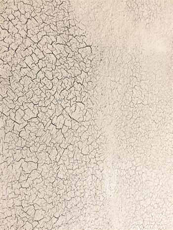 Vintage Paint | Crackle Effect | Finish zur Farbrissbildung | Krakelierlack - Lioness Vintage