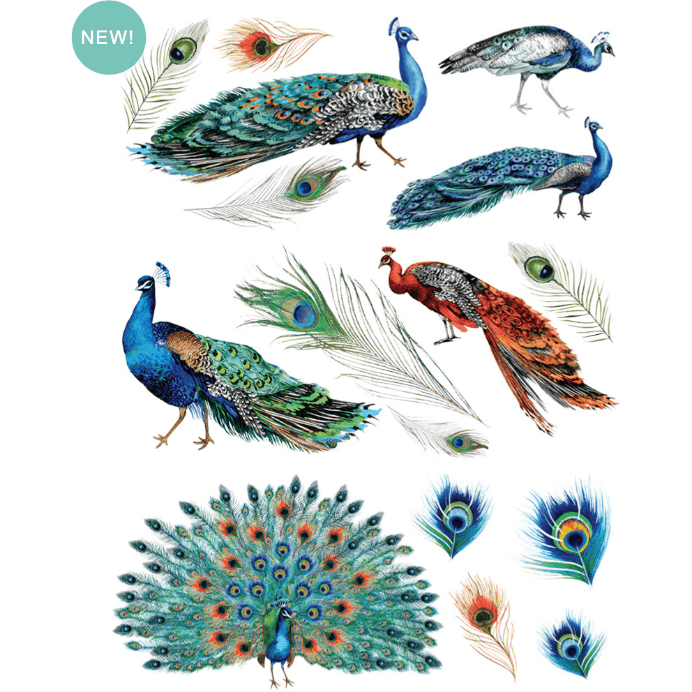 Großes Redesign Décor Transfers - Peacock Dreams | Pfau - Lioness Vintage