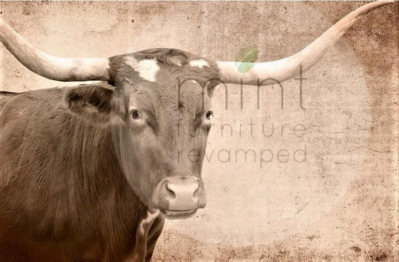mint_by_michelle_texas_longhorn_decoupage_papier_deutschland