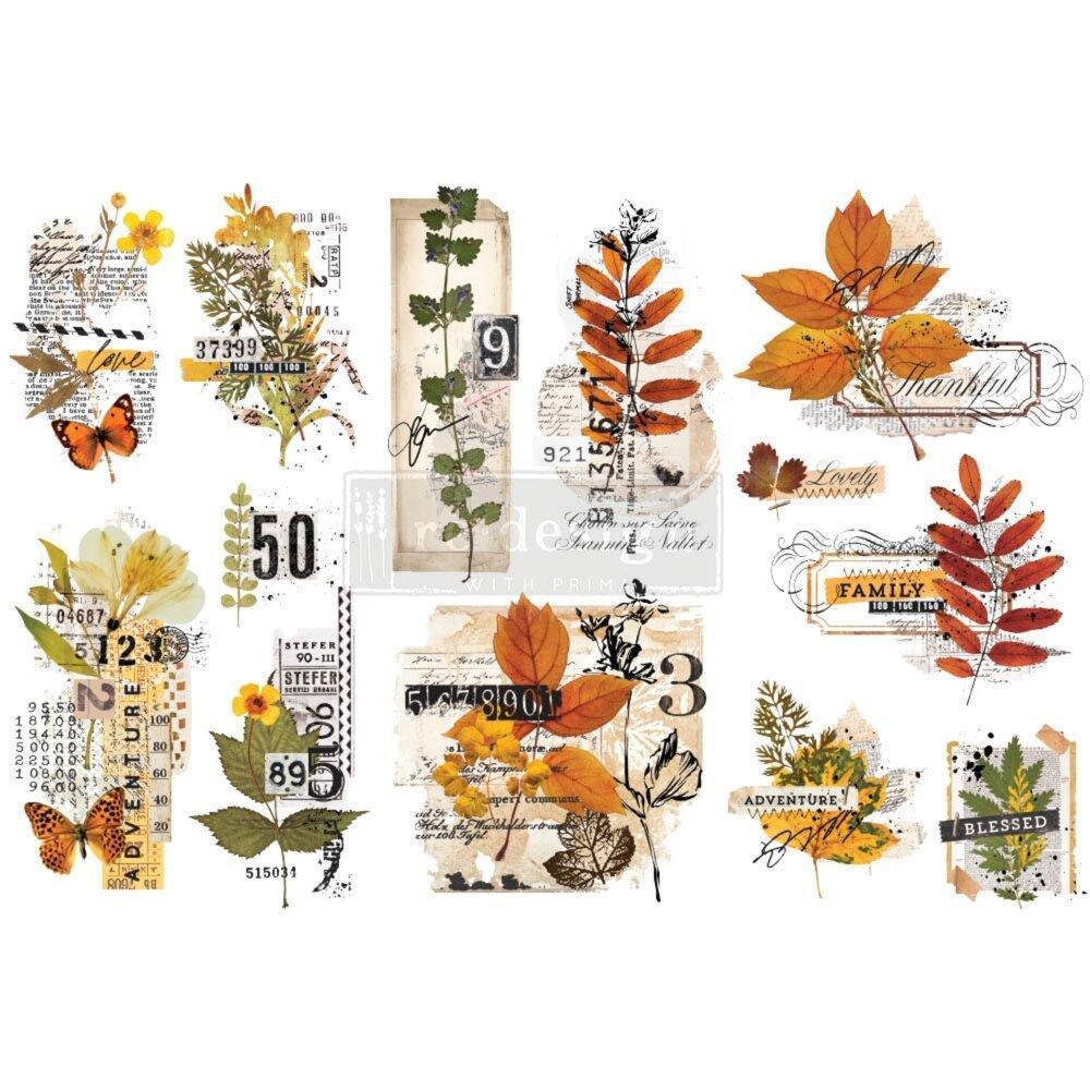 ReDesign Transfer | Foliage Collector | kleine Herbstmotive - Lioness Vintage