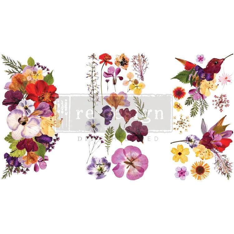 Transferfolien | Redesign Transfer | Natural Flora - Lioness Vintage