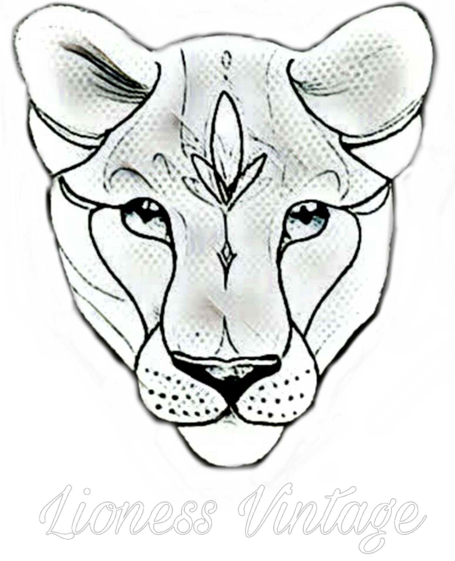 Lioness Vintage Farbenshop & Redesign • www. •