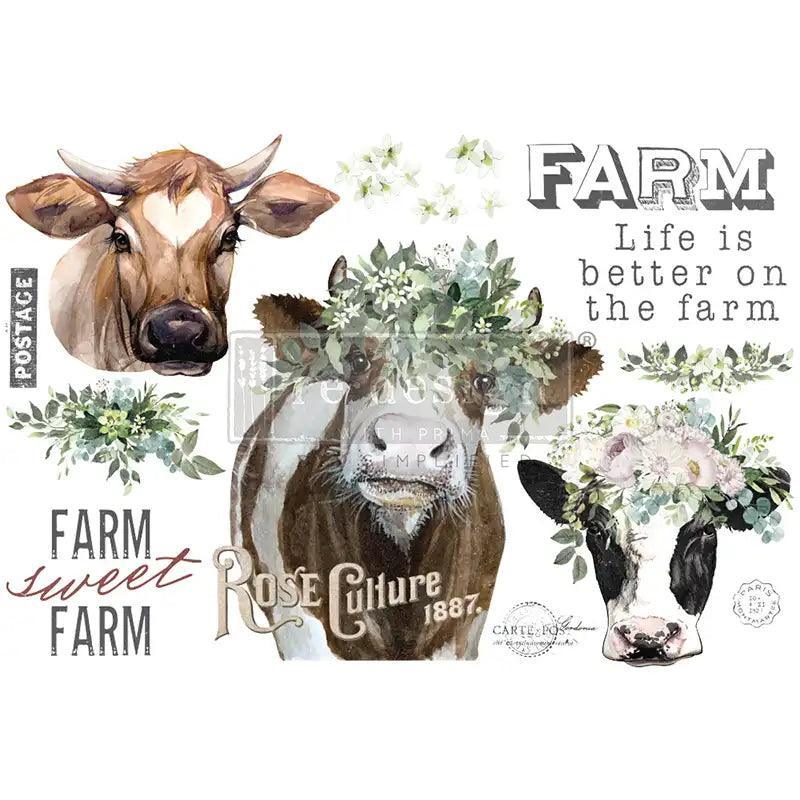 Golden Fields Farm | Redesign Transfer | Kühe - Lioness Vintage