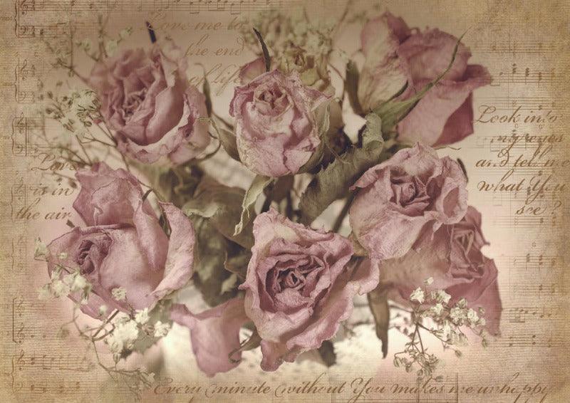 Sepia Rose Song | Reis Decoupage Papier A1 | Belles & Whistles - Lioness Vintage