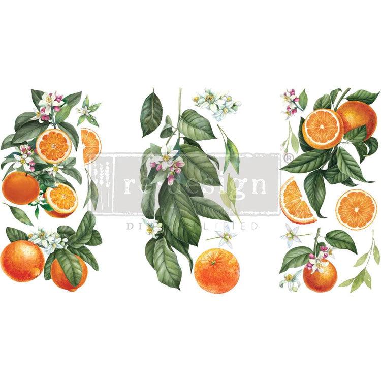 Citrus_slice_Orangen_Redesign_Transfer_möbelfolie_rubb_on
