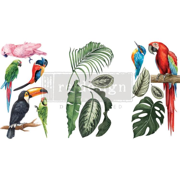 Papagei_ReDesign_tropical_birds_Transfer_lioness_vintage
