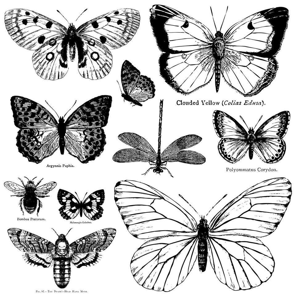 Butterflies, Schmetterlinge Stempel, 10 Insektenmotive - Lioness Vintage - Möbelmanufaktur