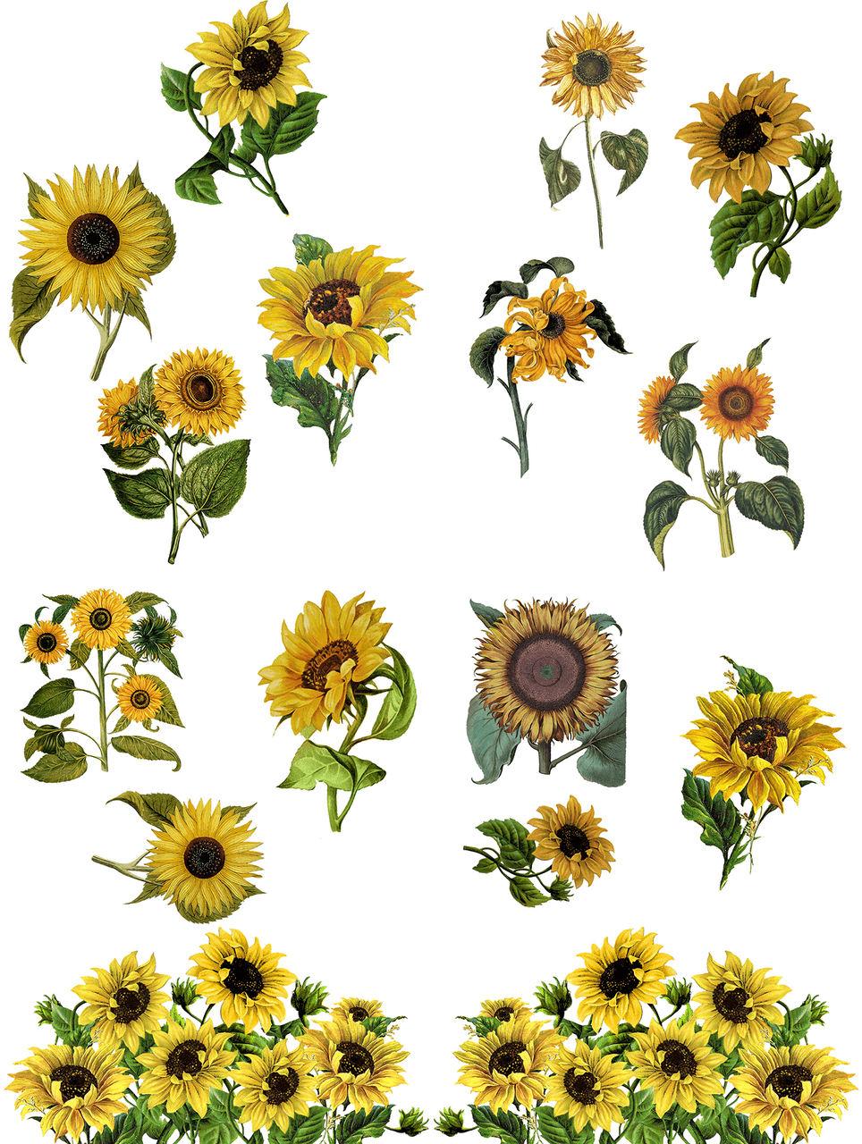 Transferfolien | Dixie Belle Transfer - Sunflower | Sonnenblumen | 4 Blätter - Lioness Vintage