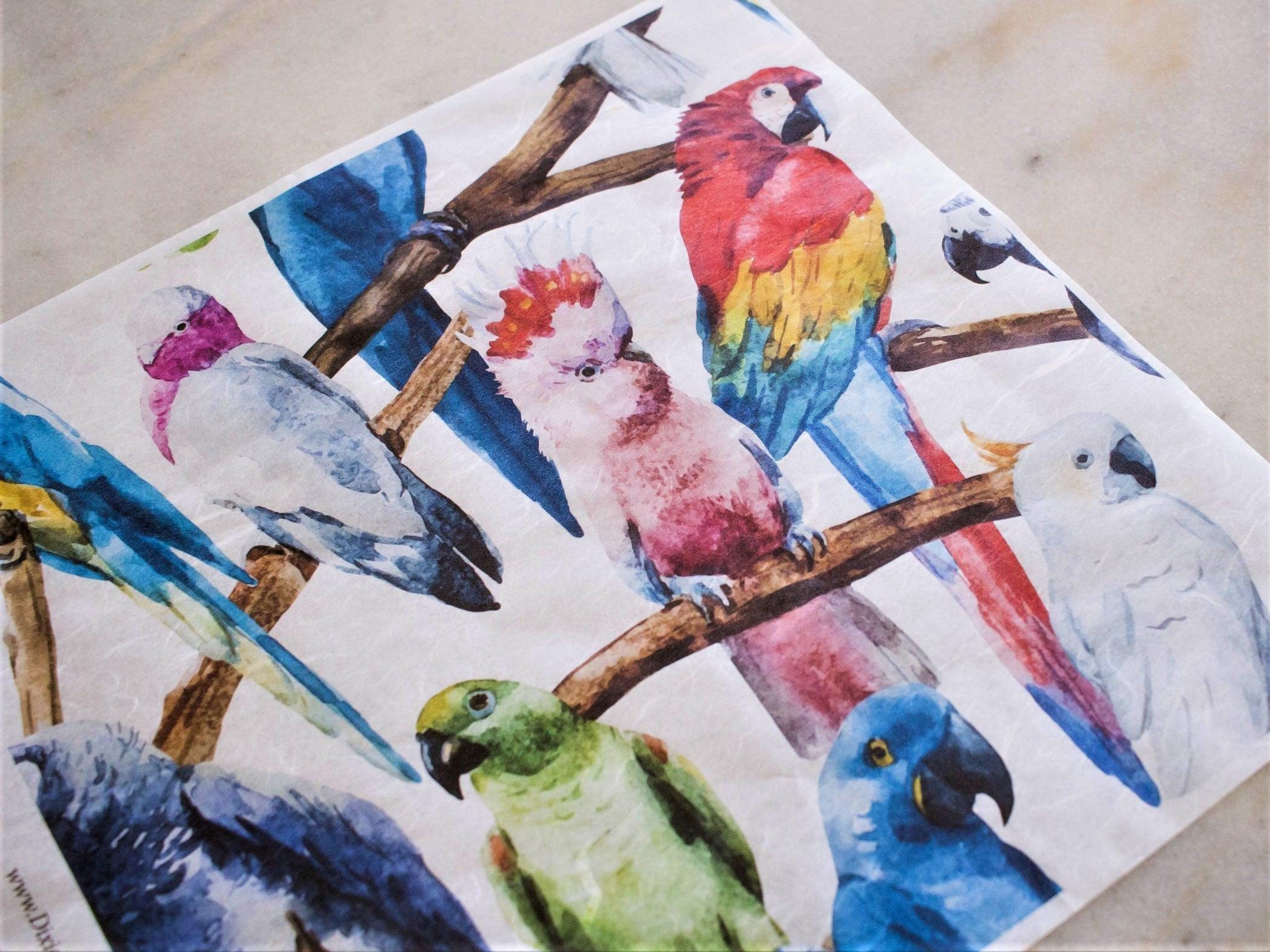 Birds | Decoupage Papier | Dixie Belle | Papageien - Lioness Vintage