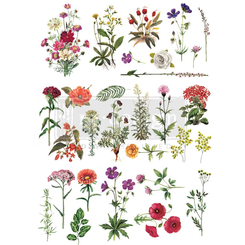 Redesign_Transfer_floral_collection_lioness_vintage_blumen_moebeltatoo