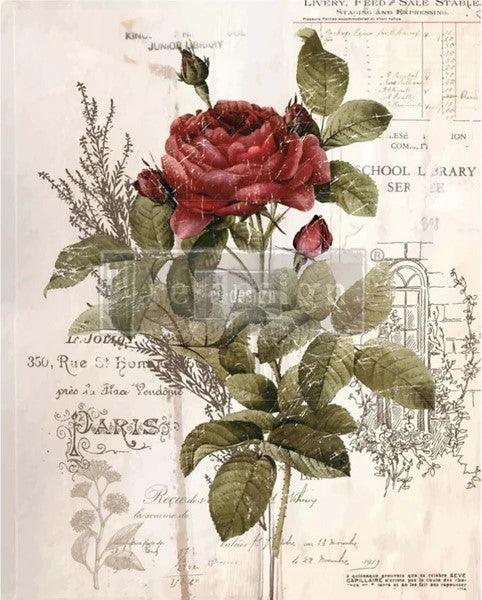 ReDesign_Transfer_Botanical_Rose_lioness_vintage_möbelfolie