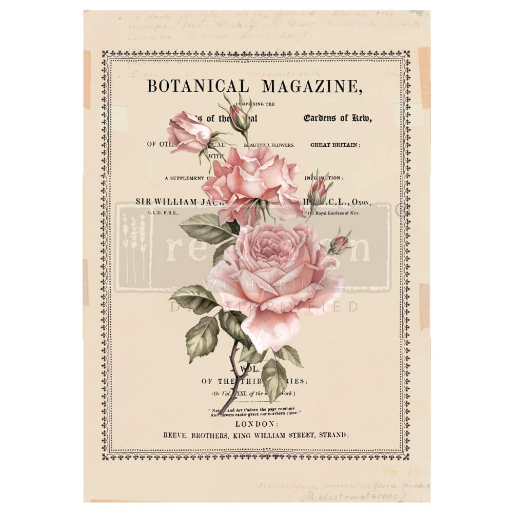 Redesign_Transfer_beautiful_botanist_lioness_vintage_rosen_moebeltatoo