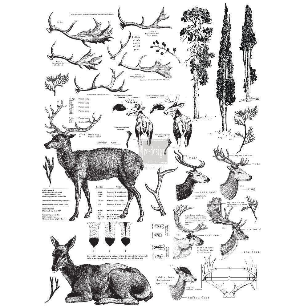 ReDesign Transfer | Deer- Hirsch - Wild- Reh - Lioness Vintage