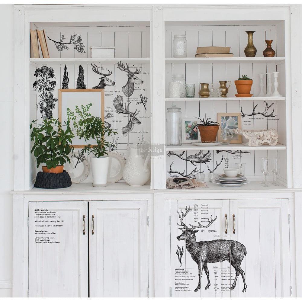 ReDesign Transfer | Deer- Hirsch - Wild- Reh - Lioness Vintage
