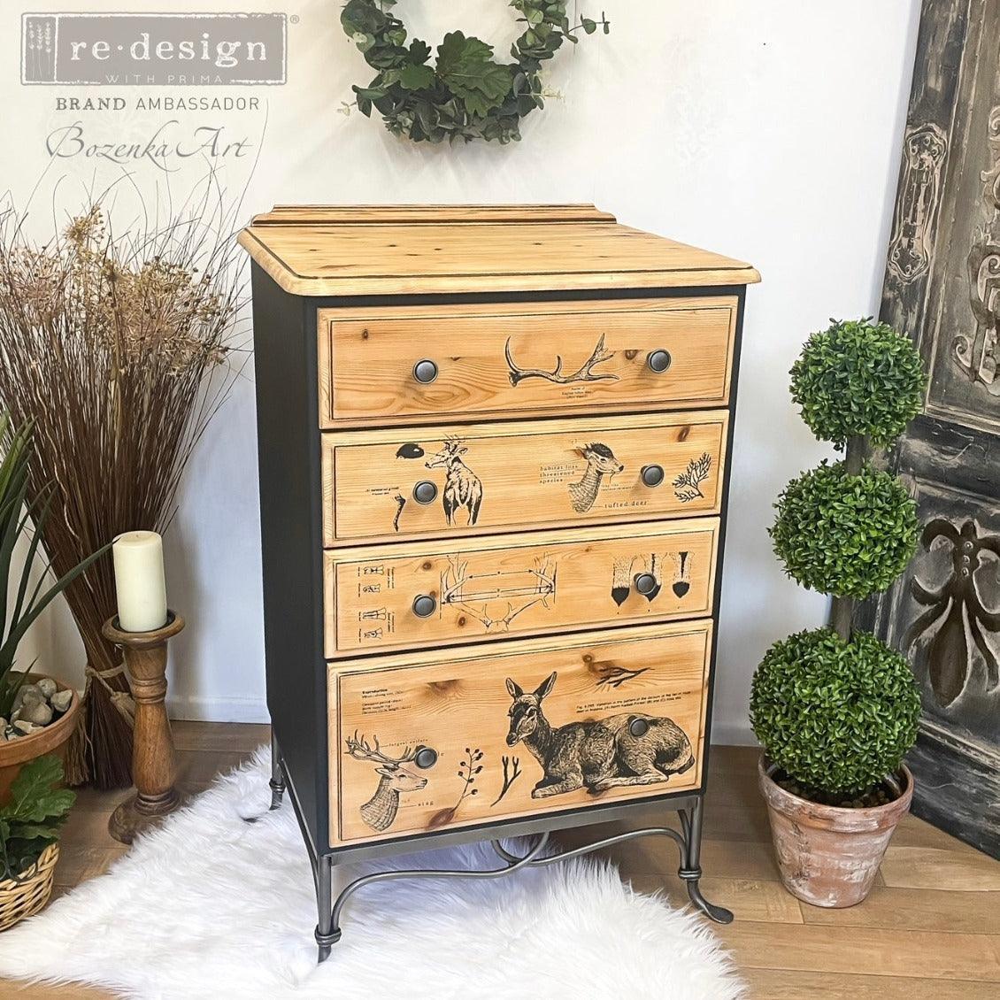 ReDesign Transfer | Deer- Hirsch - Wild- Reh - Lioness Vintage